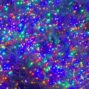 Meet your Posher, Peyton